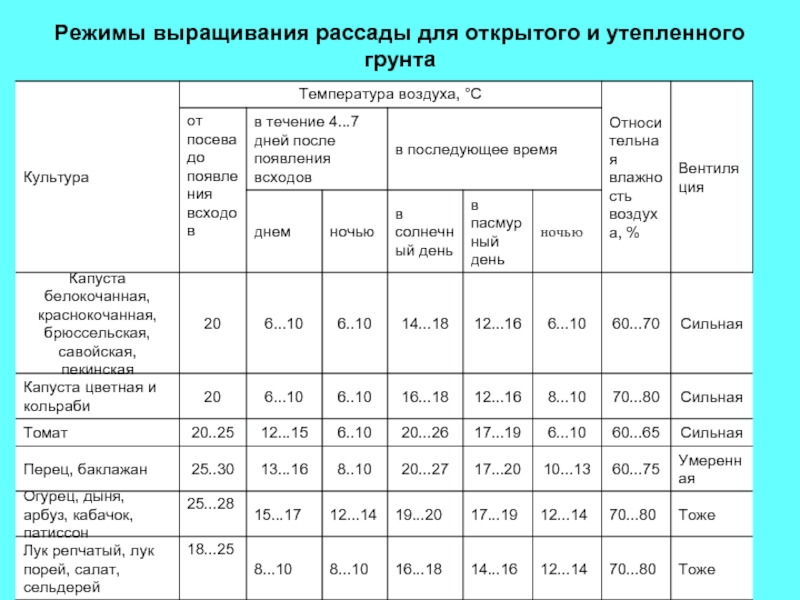 Выращивание огурцов в теплице зимой: подготовка теплицы, почвы и высадка