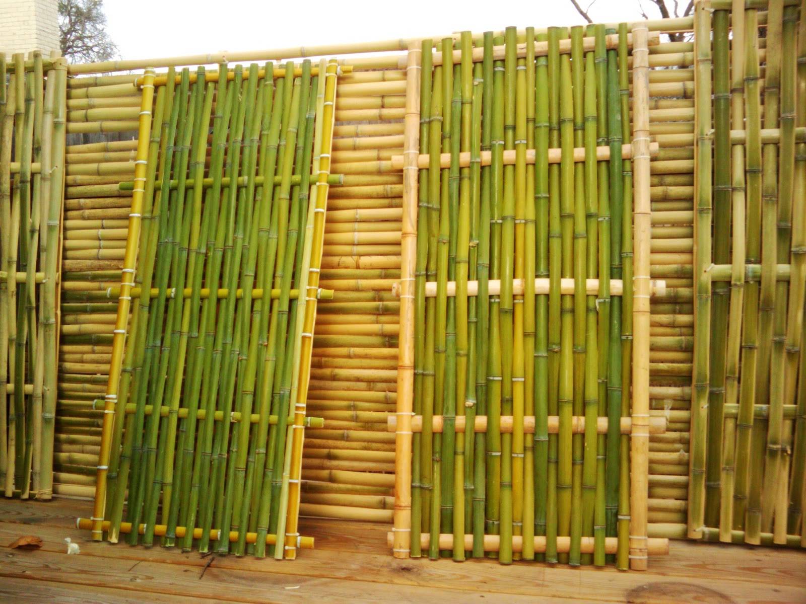 Бамбуковые панели. характеристика материала и особенности монтажа. виды бамбуковых панелей. инструкция монтажа. узнайте!