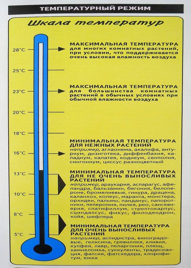 Температура в теплице зимой и летом – регулирование и контроль