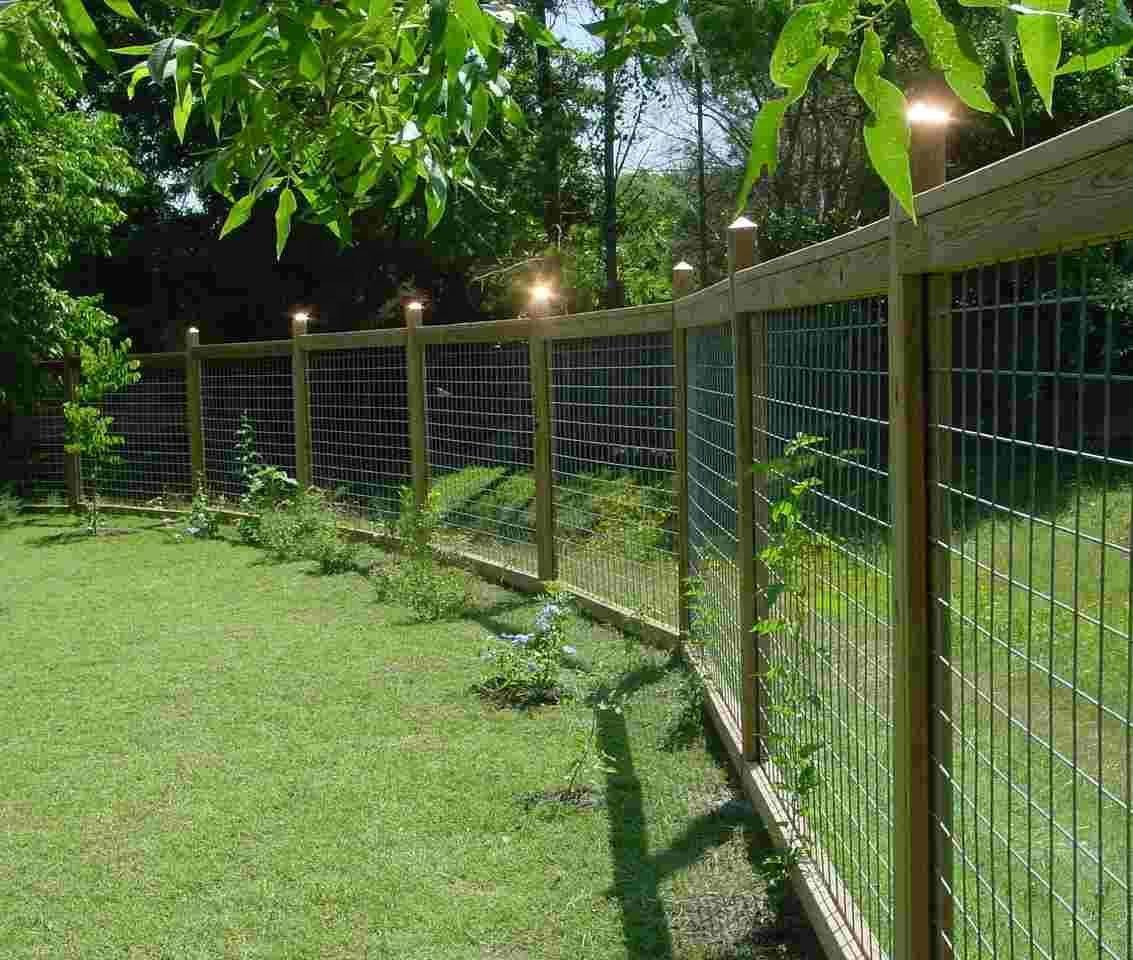 6 идей, как украсить забор из сетки-рабицы
