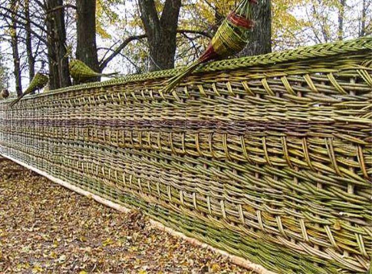 Как сделать плетеный забор тын своими руками: фото и видео