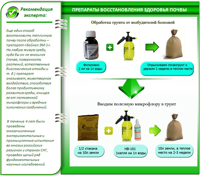 Дезинфекция теплицы: обработка осенью и весной - дачные советы.ру