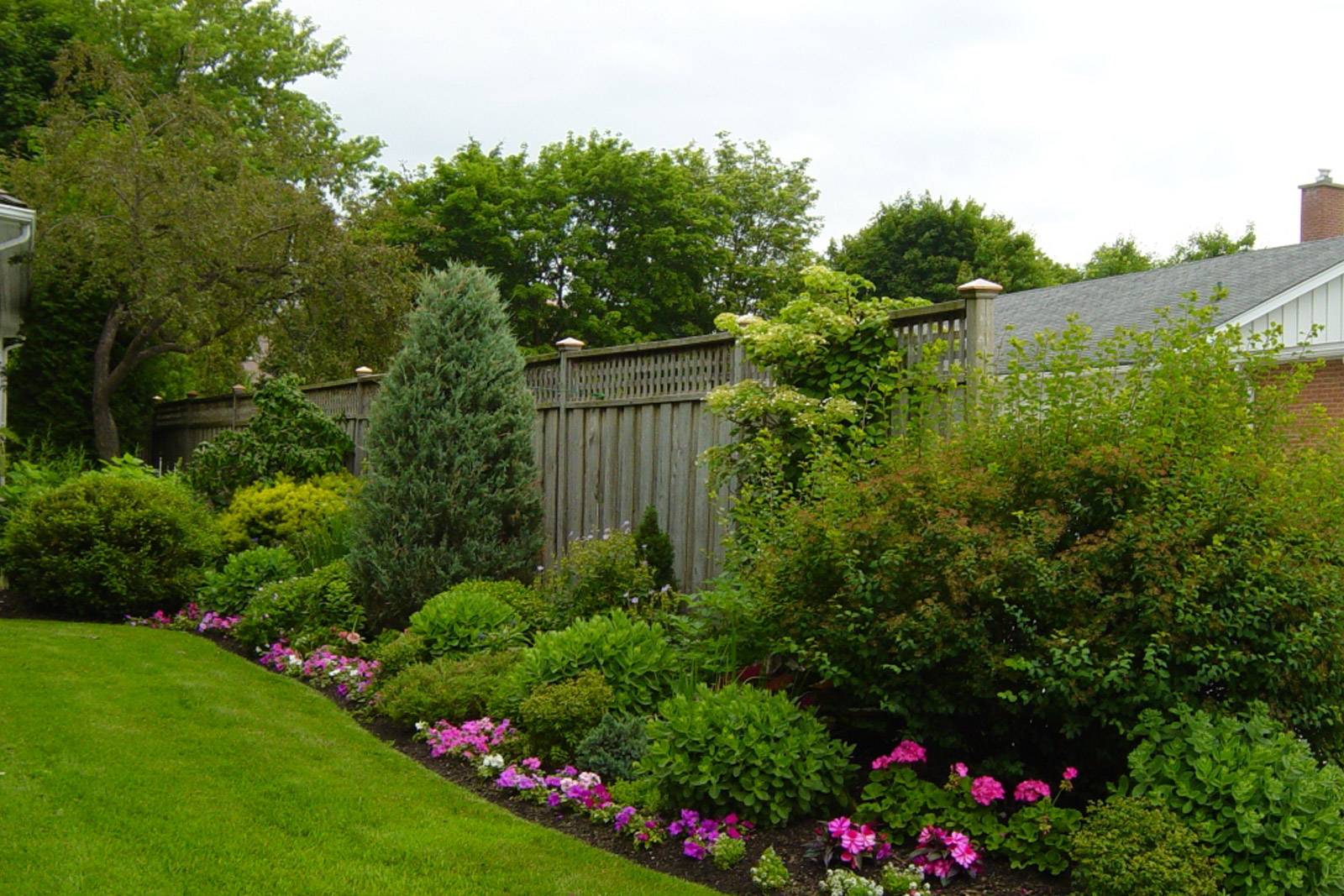 Что посадить вдоль забора на даче: деревья, кусты, растения, композиции на фото