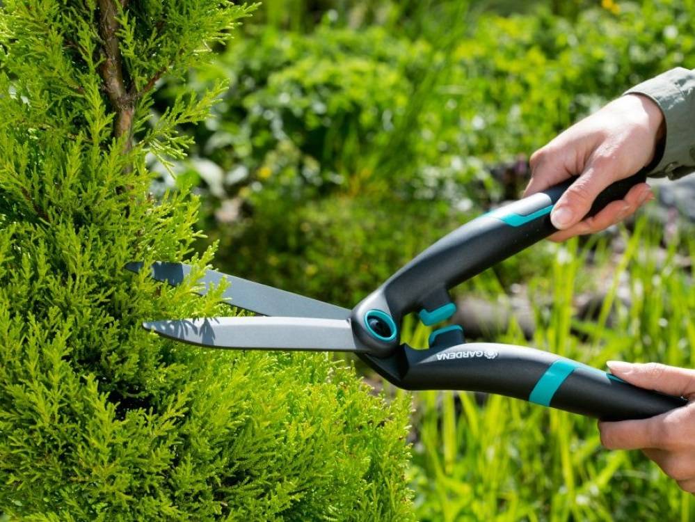 Садовые ножницы для стрижки кустов: особенности разных видов, критерии выбора