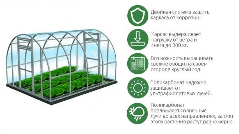 Санкт петербург каталог теплицы из поликарбоната