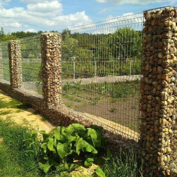 Забор из сетки с камнями: пергон