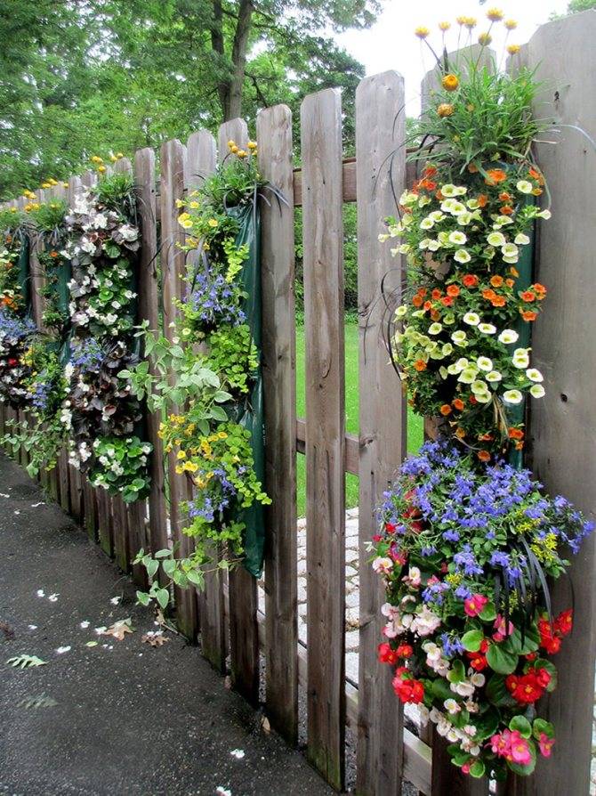Как украсить забор из профнастила с внутренней стороны: оформление цветами, декор деревянного забора
 - 26 фото