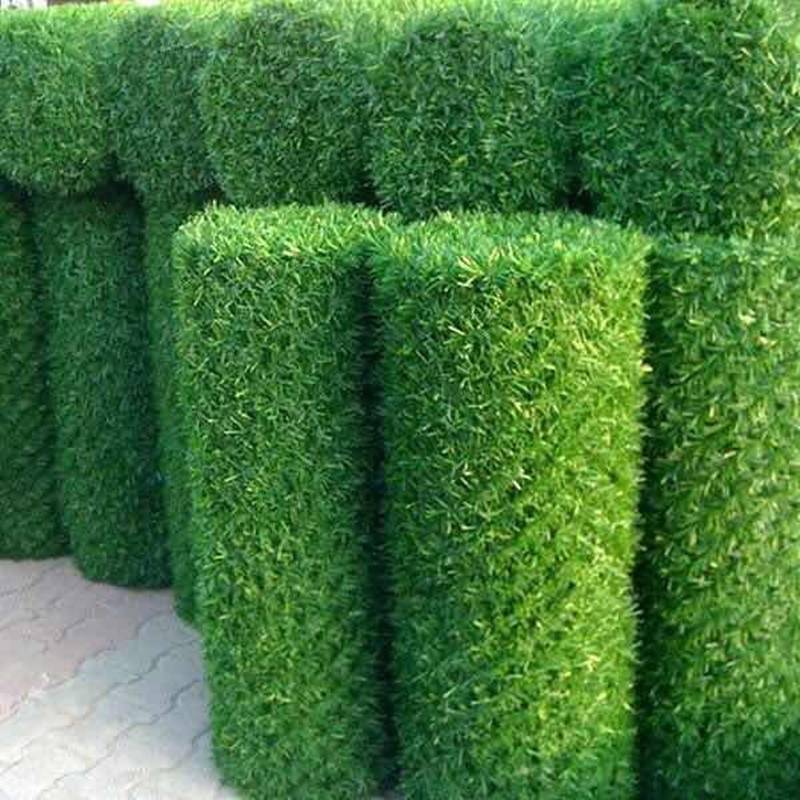 Искусственный газон: фото настила пластиковой травы, обзор преимуществ и недостатков, искусственная трава для дачи