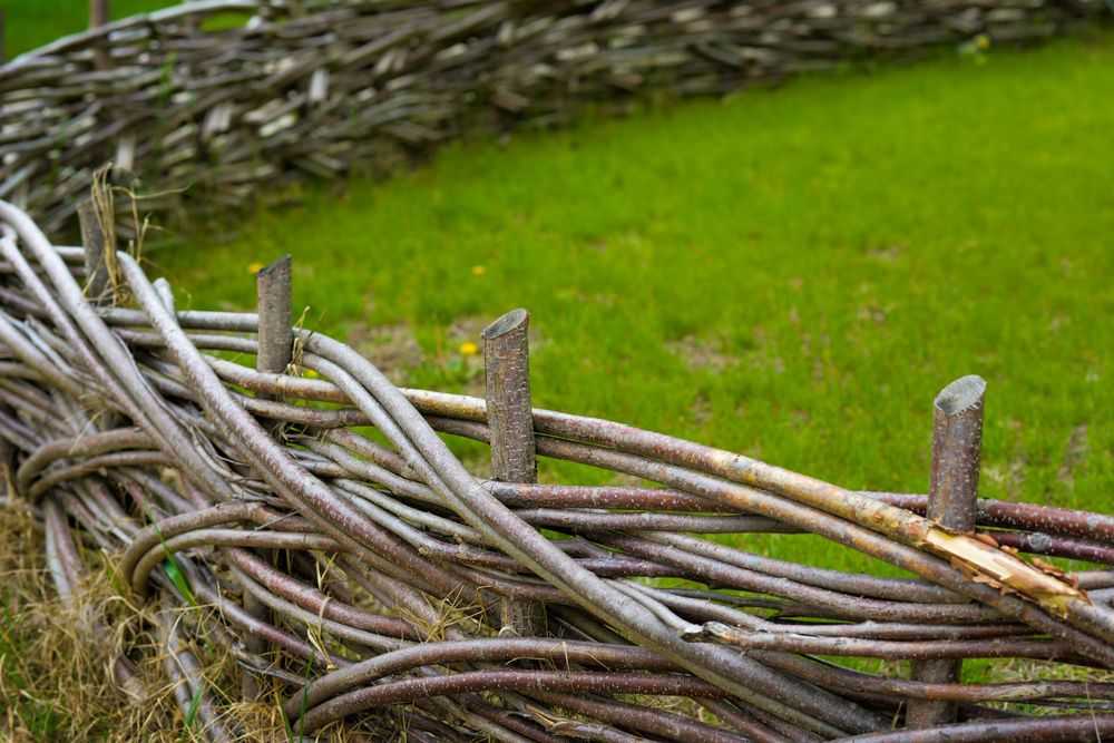 Забор - живой плетень из ивы: 3 варианта от сложного-дорогого до бесплатного-простого
