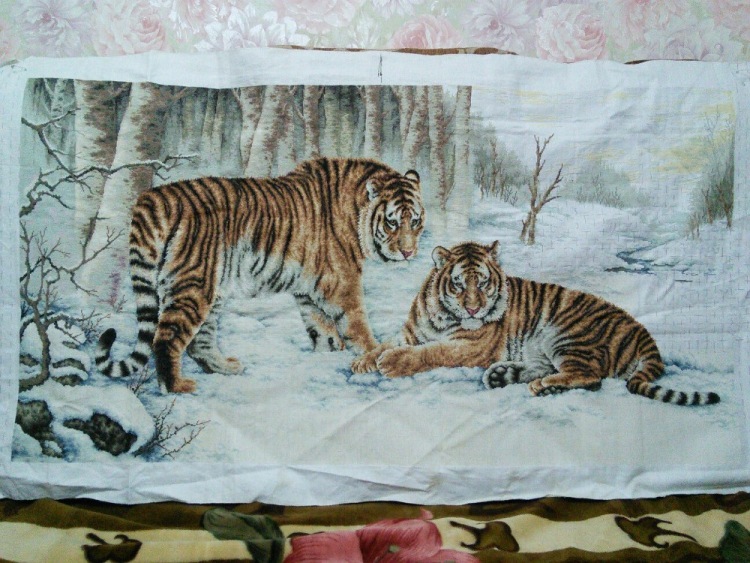Бенгальские тигры пенза. Риолис бенгальский тигр. Бенгальские тигры 70702 Dome. Бенгальские тигры вышивка Dome. Риолис белый тигр.
