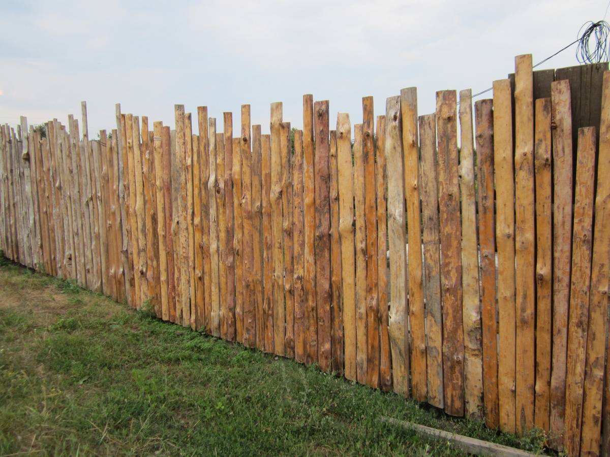 Забор из горбыля: как сделать своими руками, фото и варианты для дачи