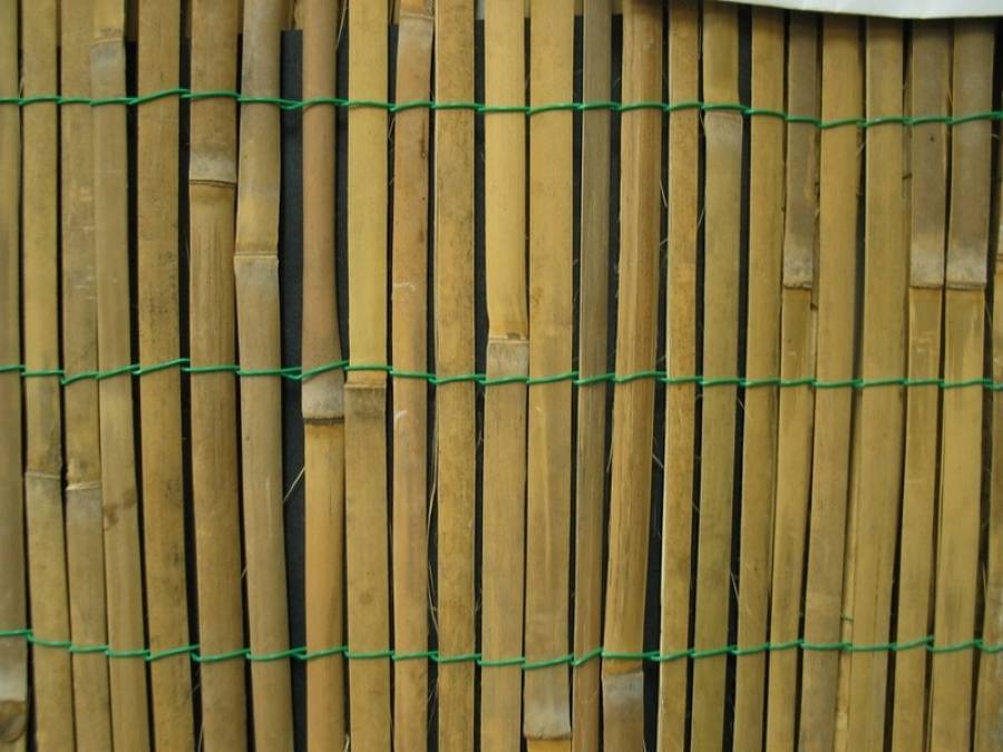 Бамбуковый пол: бамбуковое покрытие для пола, особенности производства и какие минусы