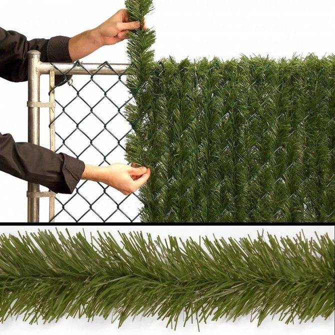 Живая изгородь на даче своими руками — обзор, пошаговая инструкция (100 фото)