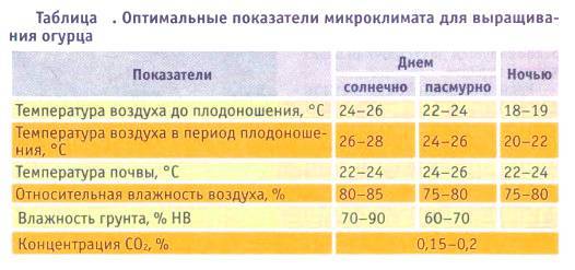 Какая температура должна быть в теплице для огурцов и помидоров