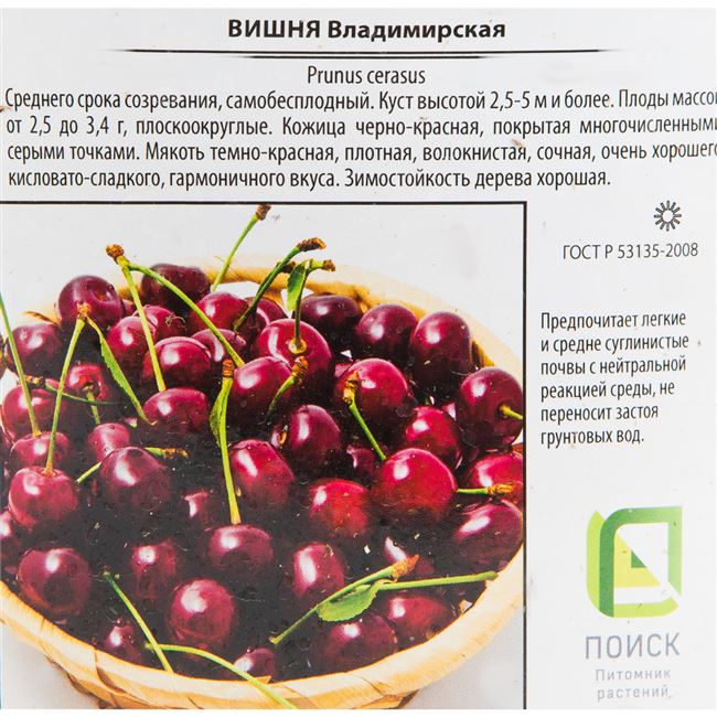 Вишня "владимирская": описание сорта, фото, отзывы