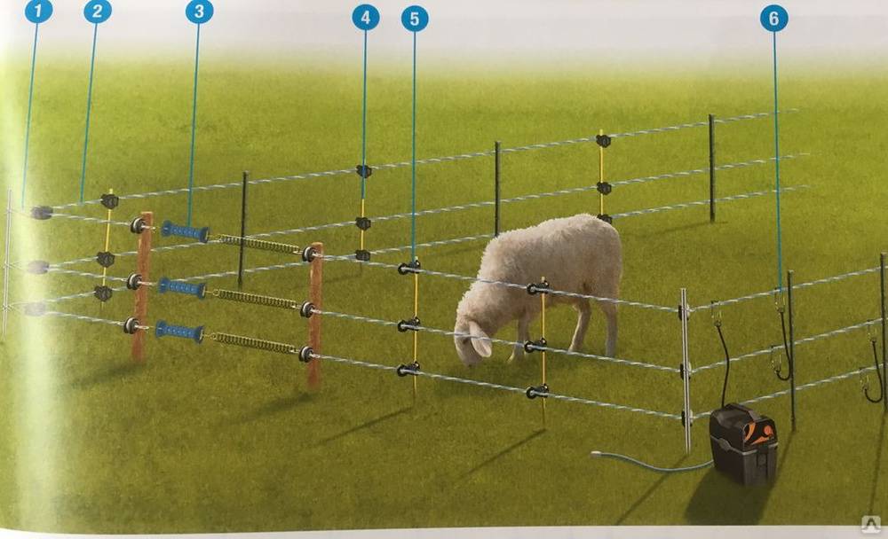 Электропастух для овец: как правильно выбрать?