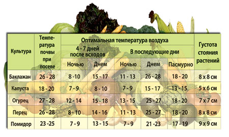 Какая температура должна быть в теплице из поликарбоната, в парнике и как регулировать