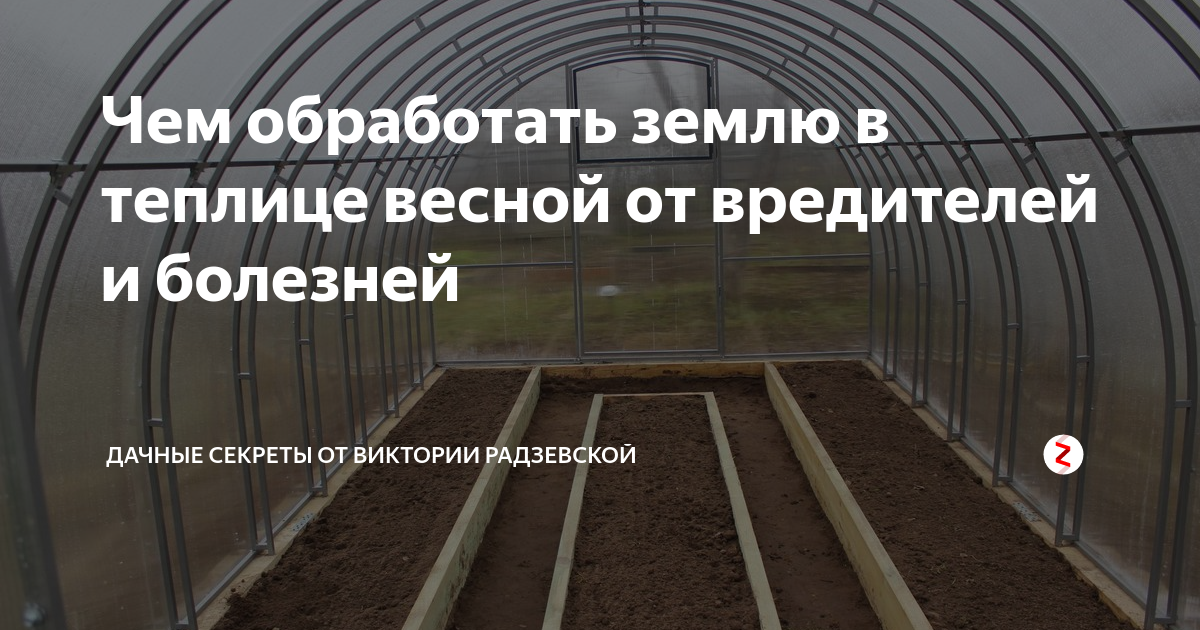 Лучшие средства для обработки весной поликарбонатных теплиц