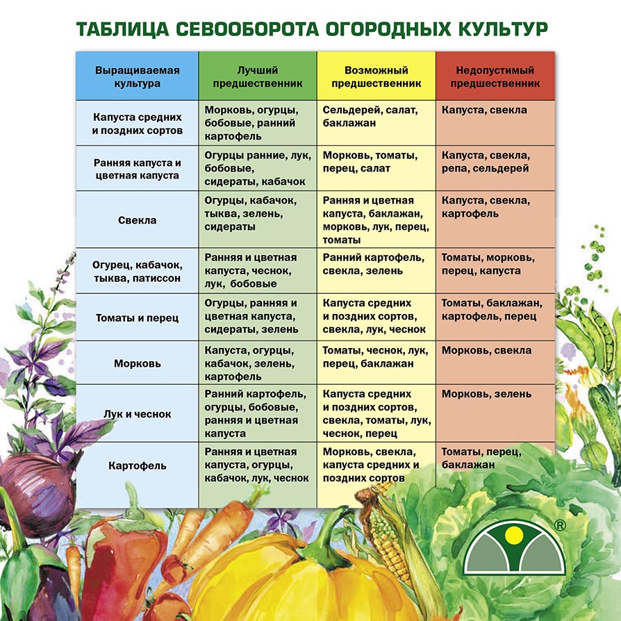 Что посадить в теплице из поликарбоната: выбор овощных культур, технология выращивания