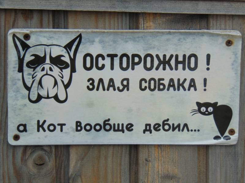 Прикольные таблички «осторожно злая собака» на забор