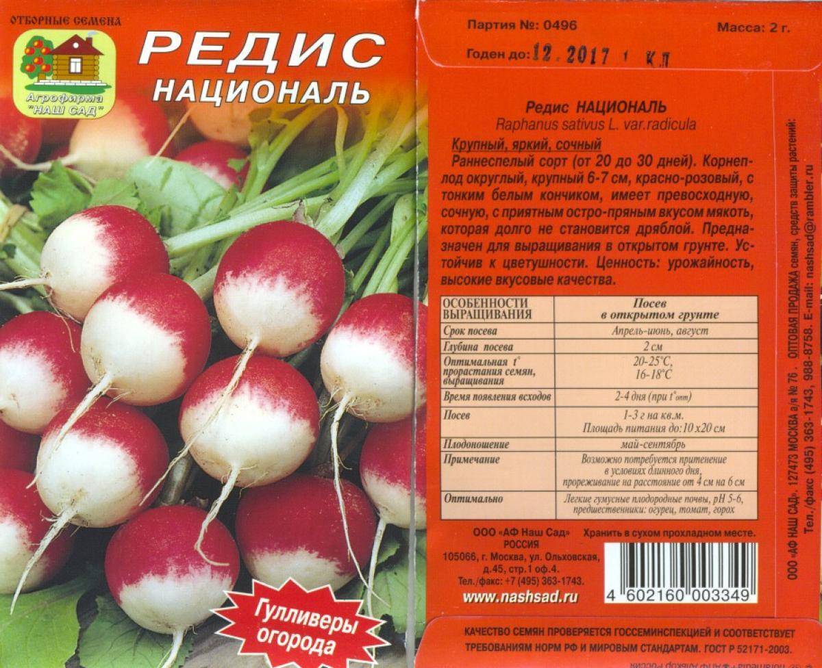Лучшие сорта редиса для открытого грунта и теплицы, характеристики