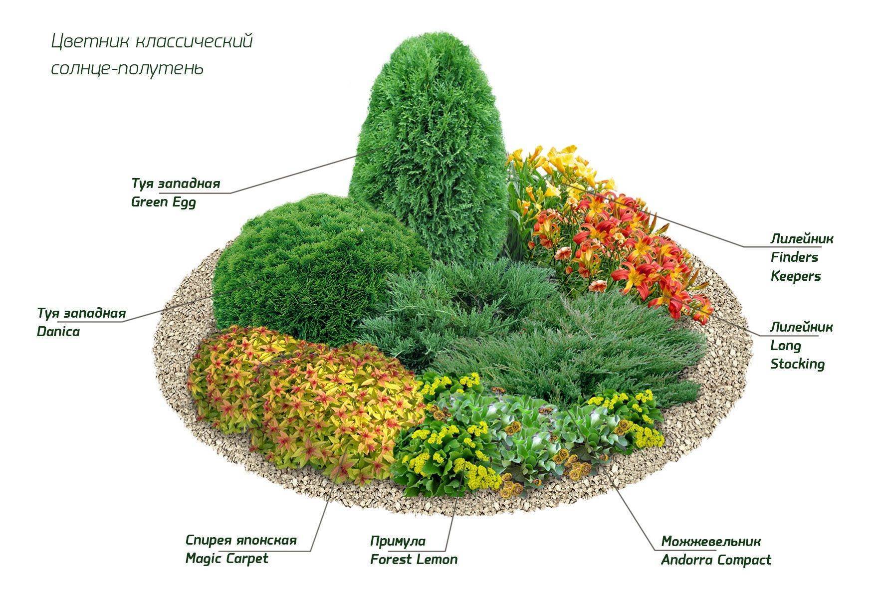 Миксбордер своими руками: схемы и подбор растений для ландшафтного дизайна, фото