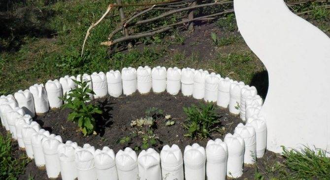 Ограждения для клумб своими руками (100 фото) - лучшие идеи для дачи и сада