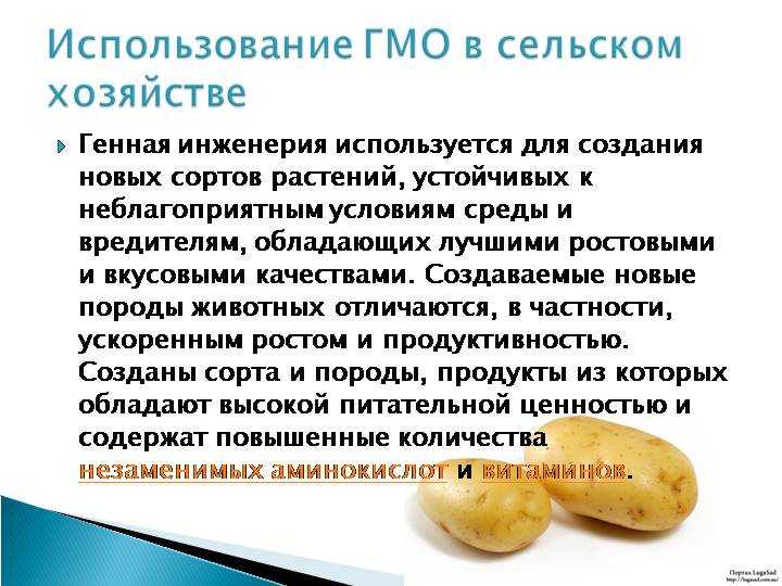 Сорта картофеля для сибири с фото и описанием