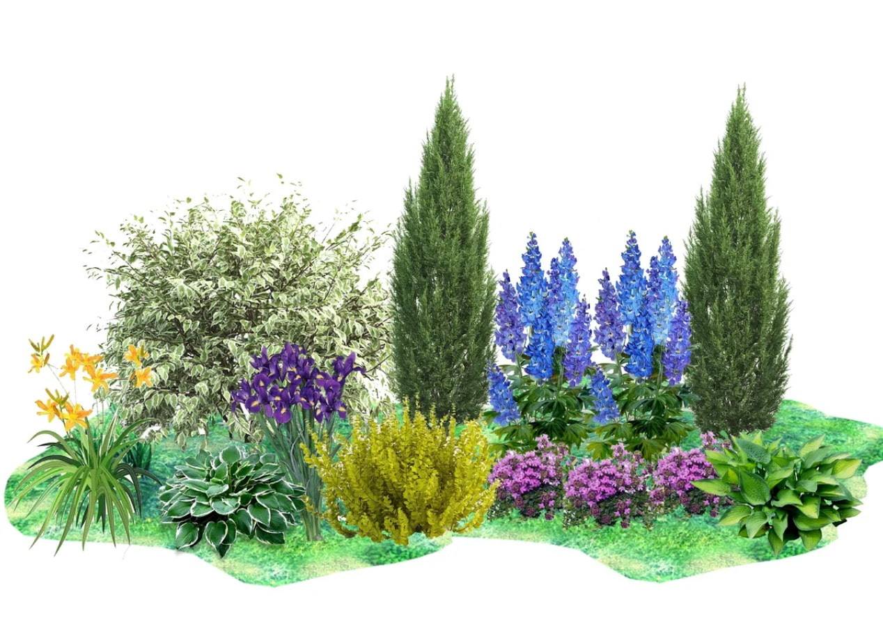 Миксбордер в ландшафтном дизайне своими руками: схема, фото, правильный подбор растений