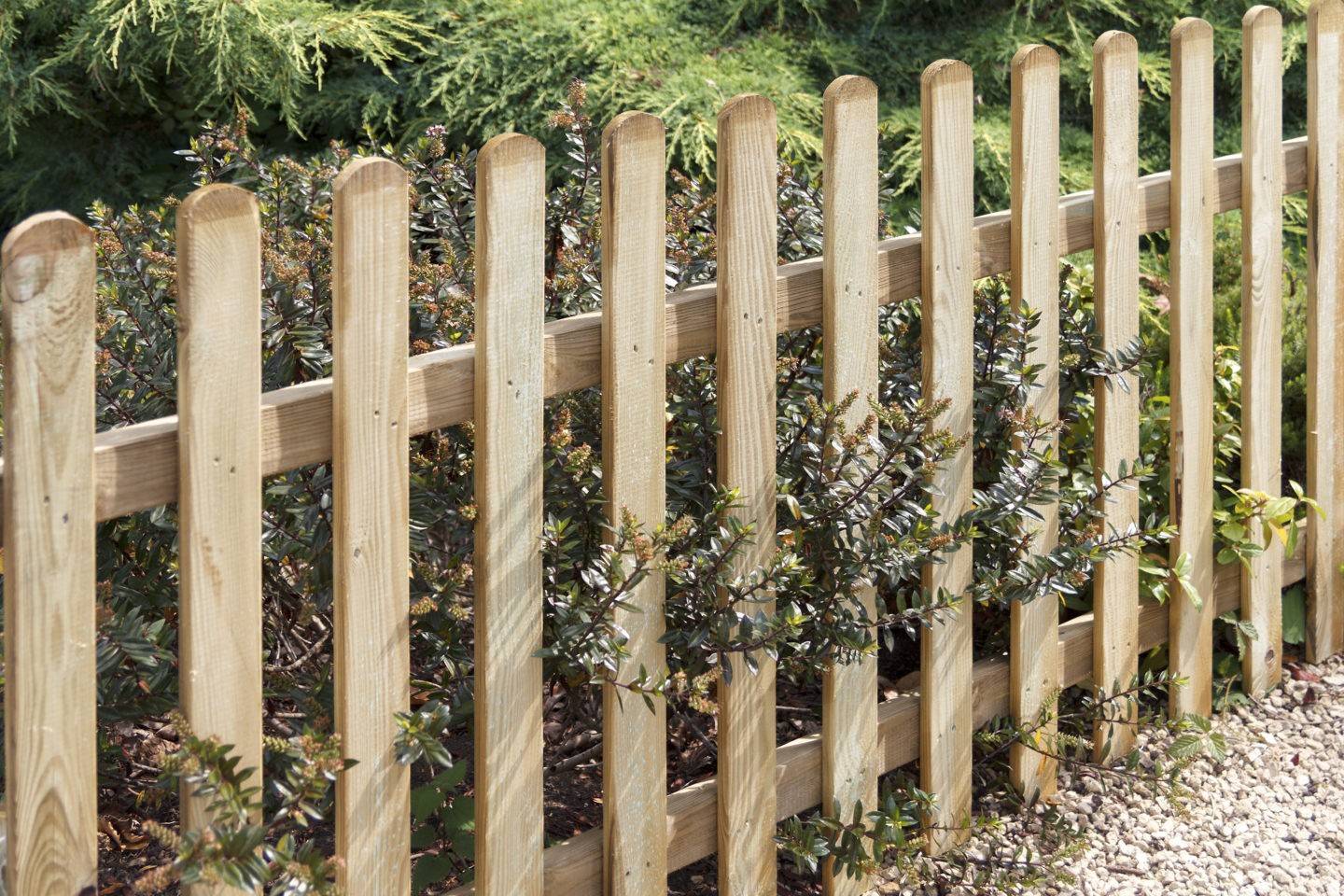 Забор своими руками дешево и красиво: делаем из дерева и других материалов
