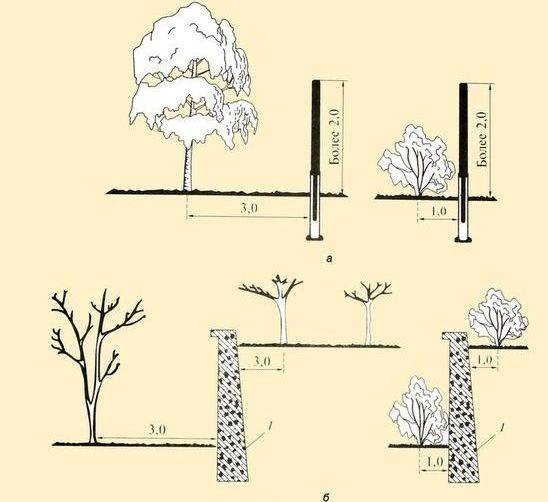 На каком расстоянии от забора сажать деревья: норма снип и закон