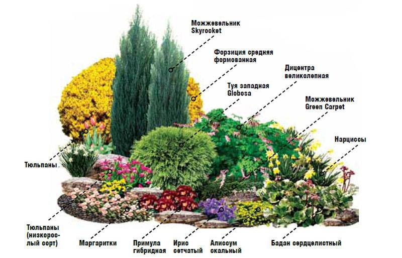 Миксбордер (76 фото): что это такое, схемы посадки многолетников в ландшафтном дизайне, подбор растений своими руками