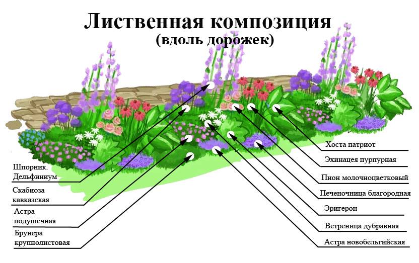 Миксбордер непрерывного цветения схемы