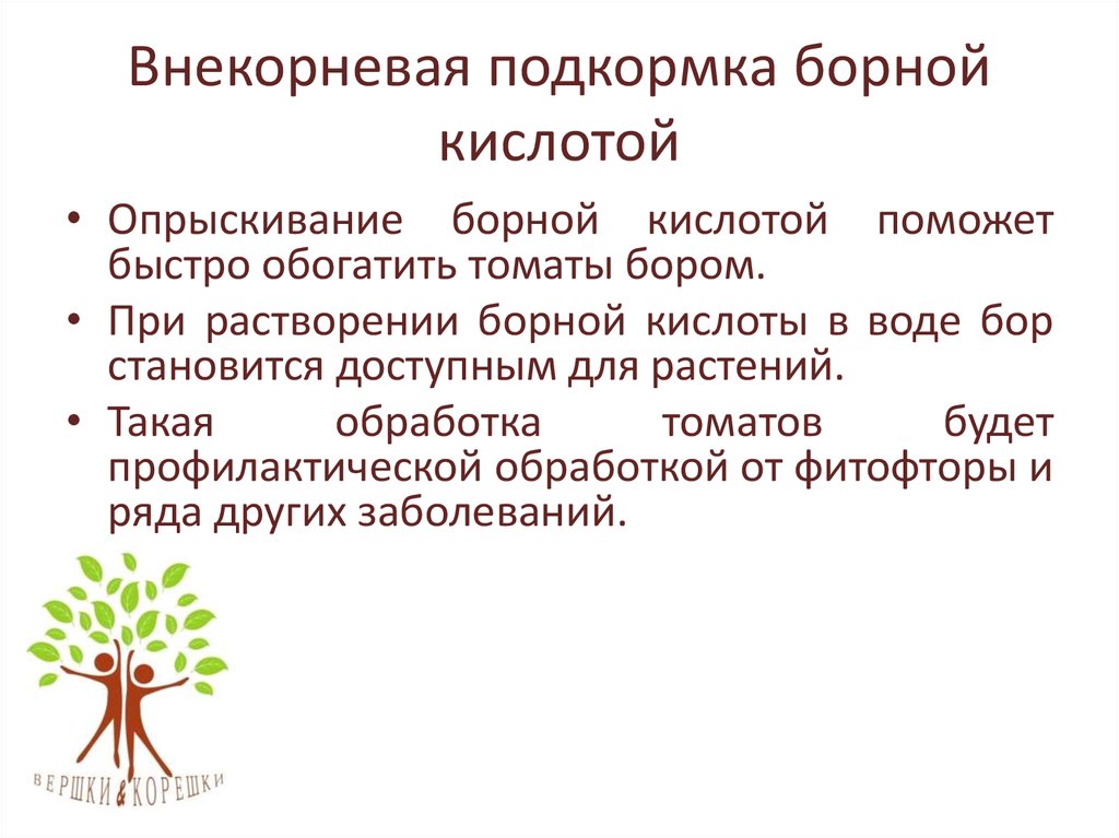 Чем опрыскать помидоры для завязи в теплице и открытом грунте – обзор народных средств и стимуляторов плодообразования