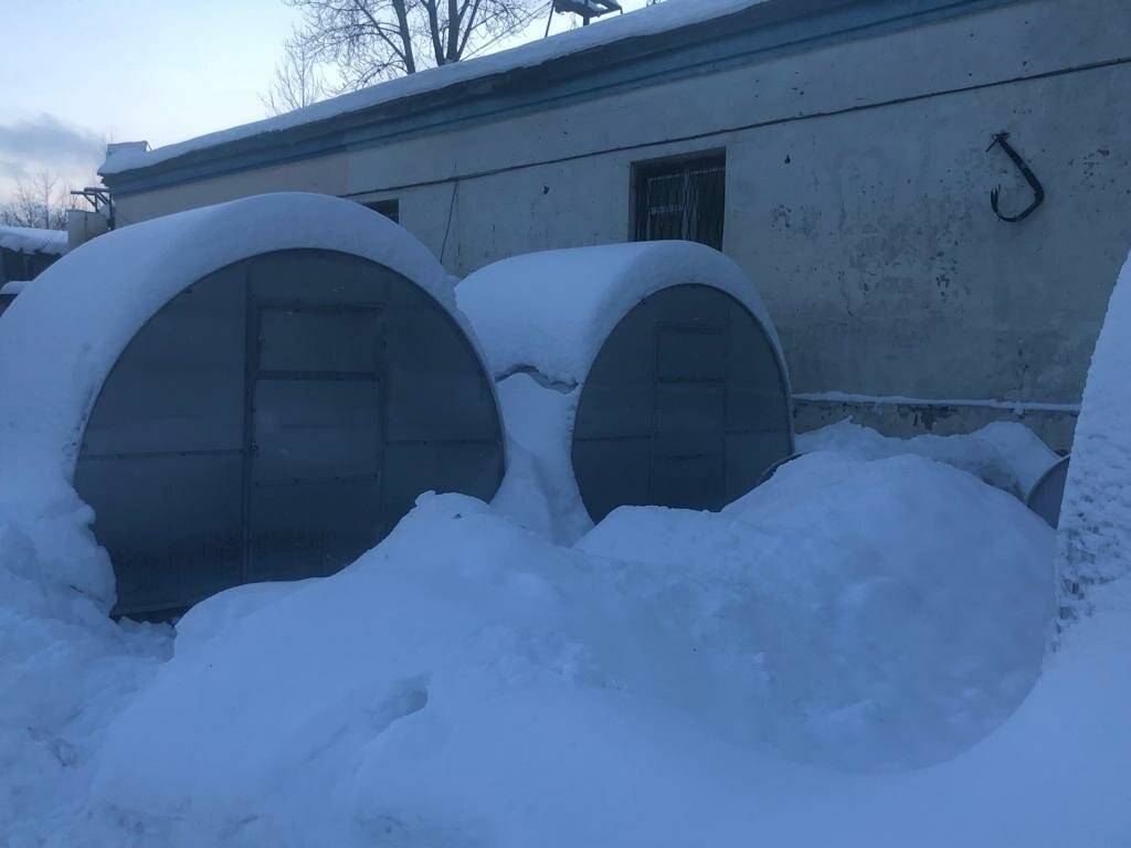 Новоладожский завод готовых теплиц