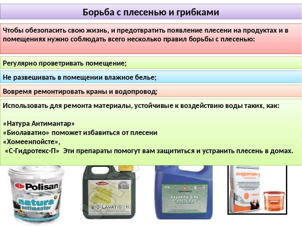 Как избавиться от плесени в холодильнике? эффективные средства