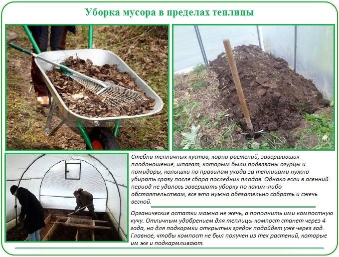 10 простых правил, как обработать и подготовить теплицу весной к новым посадкам