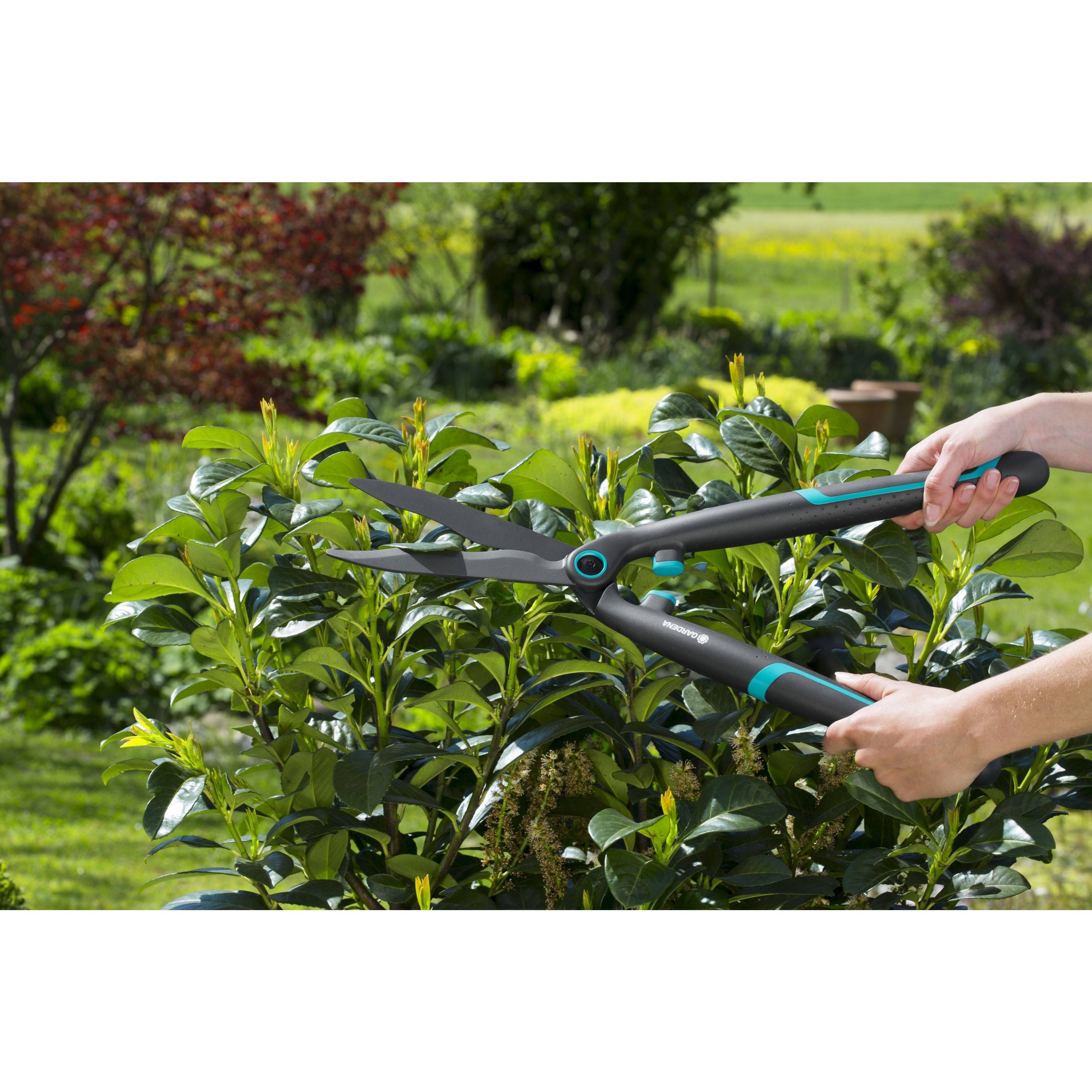 Топ-12 лучших садовых ножниц для стрижки травы, кустов